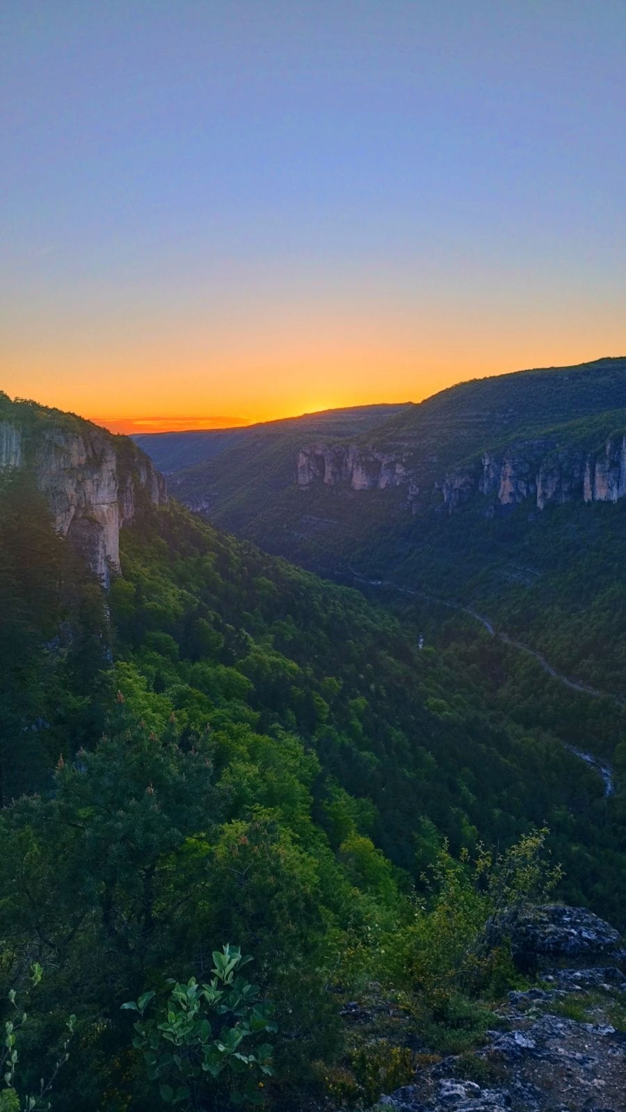 Enzio - Büetigen - Berne | Gay