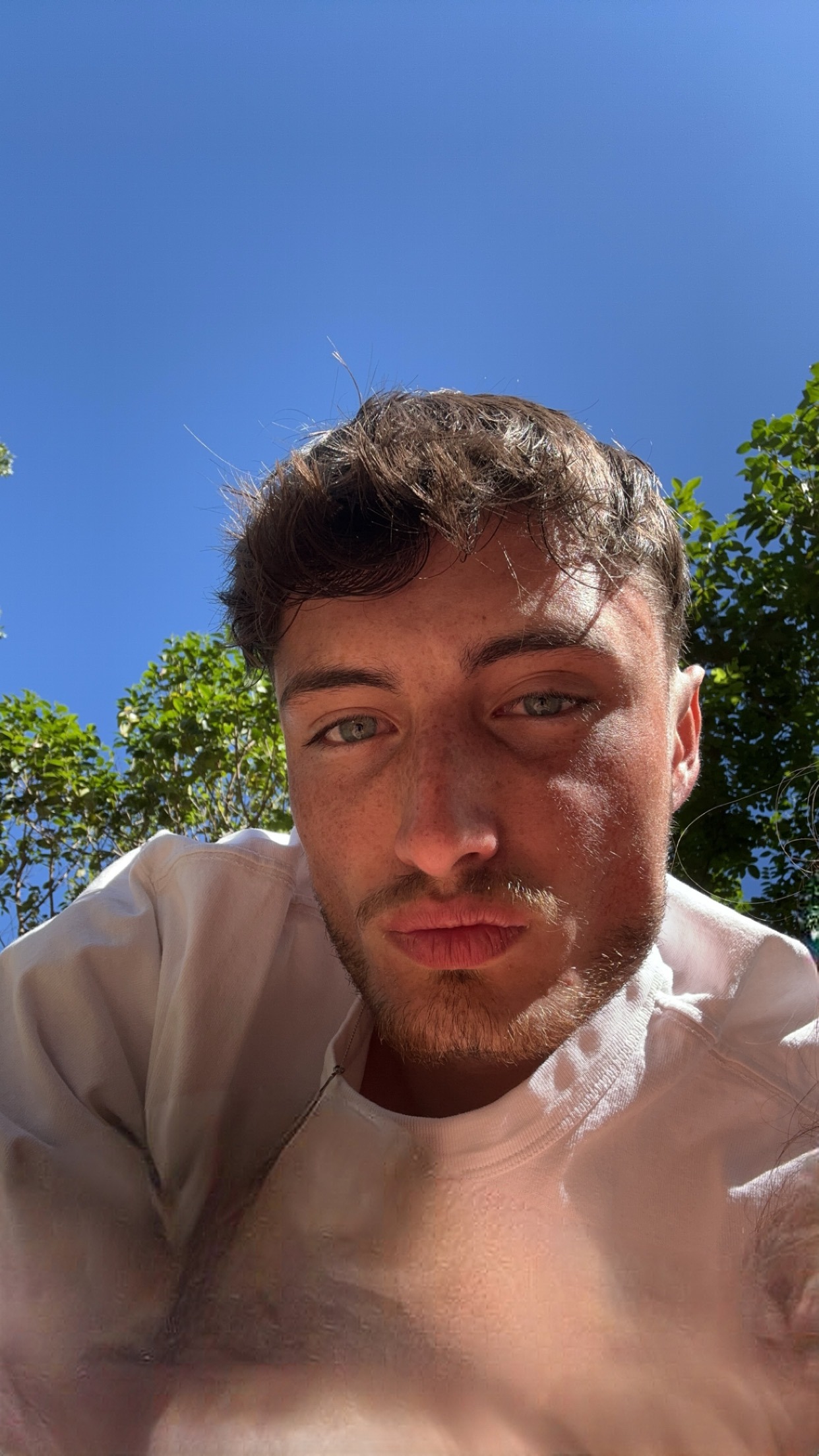 Ybrahima - Gohl - Berne | Gay