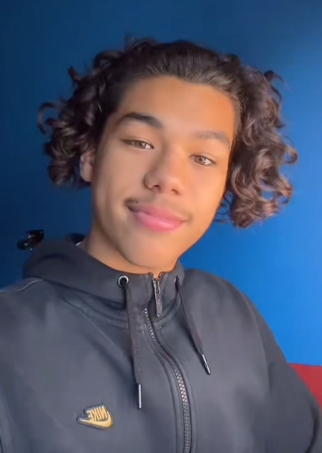 Maxent - Fidaz - Grisons | Gay