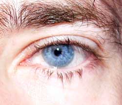 Harry - Laura - Grisons | Gay